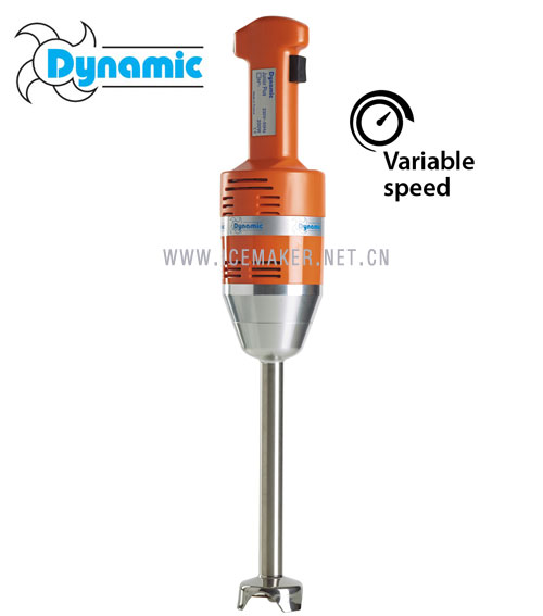 ����ԭװDynamic����JUNIOR Plus�ֳֽ����MX021.V���ʻ�