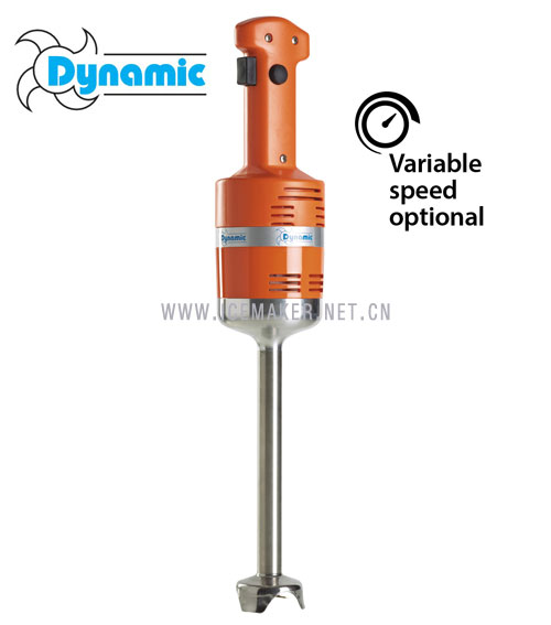 ����ԭװDynamic����JUNIOR Standard�ֳֽ����MX020���ʻ�