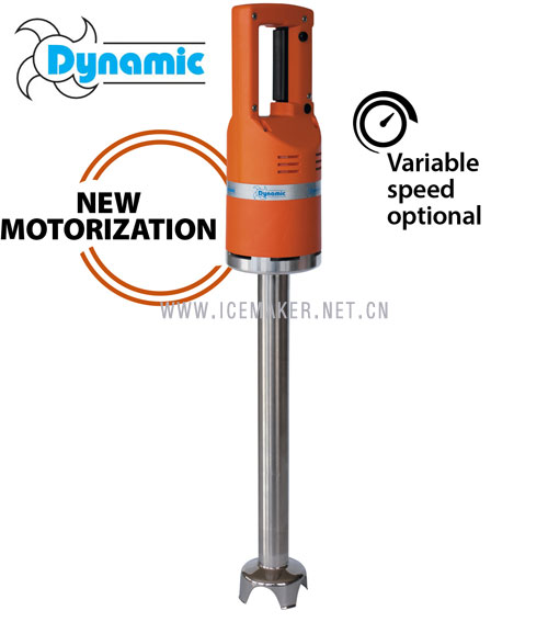 ����ԭװDynamic����MASTER�����ֳֽ����MX005���ʻ�